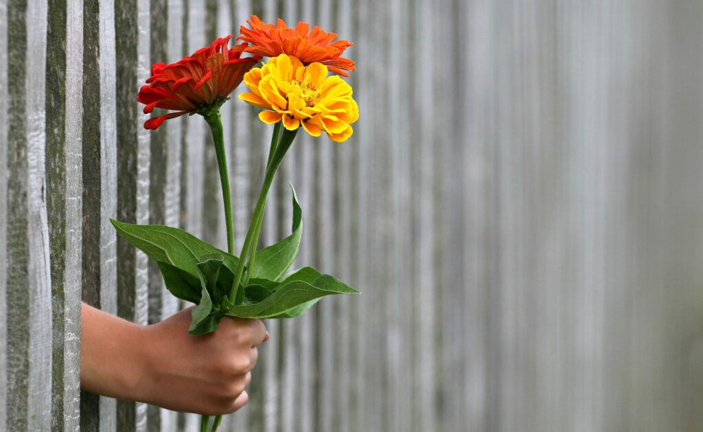 Ein Blumenstrauß wird durch einen Betonzaun gereicht. Akzeptanz reicht dem Leben die Hand!